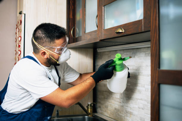 Best Best Pest Control Companies  in Lumberton, NC