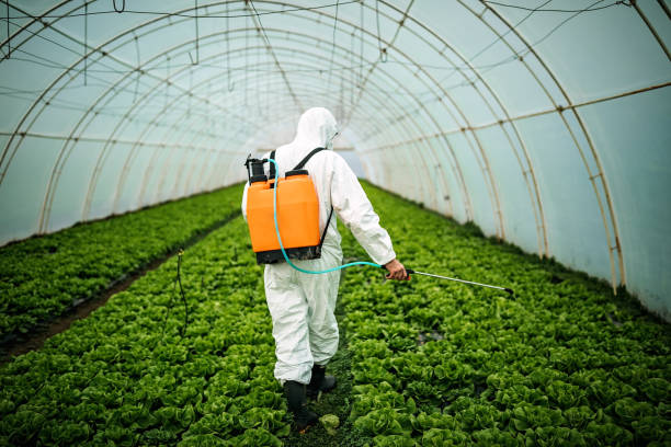 Best Emergency Pest Control  in Lumberton, NC