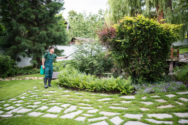 Best Best Pest Control Companies  in Lumberton, NC