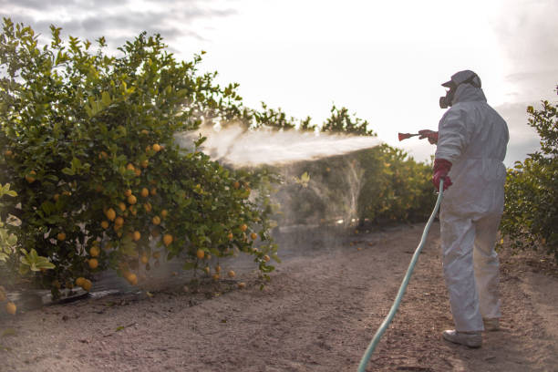 Best Affordable Pest Control Services  in Lumberton, NC