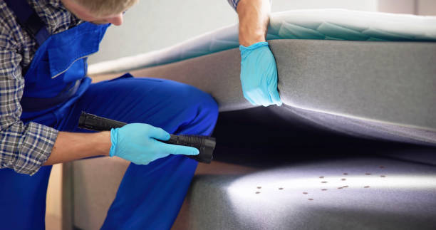 Best Bed Bug Extermination  in Lumberton, NC
