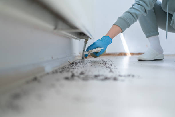 Best Pest Control Near Me in Lumberton, NC
